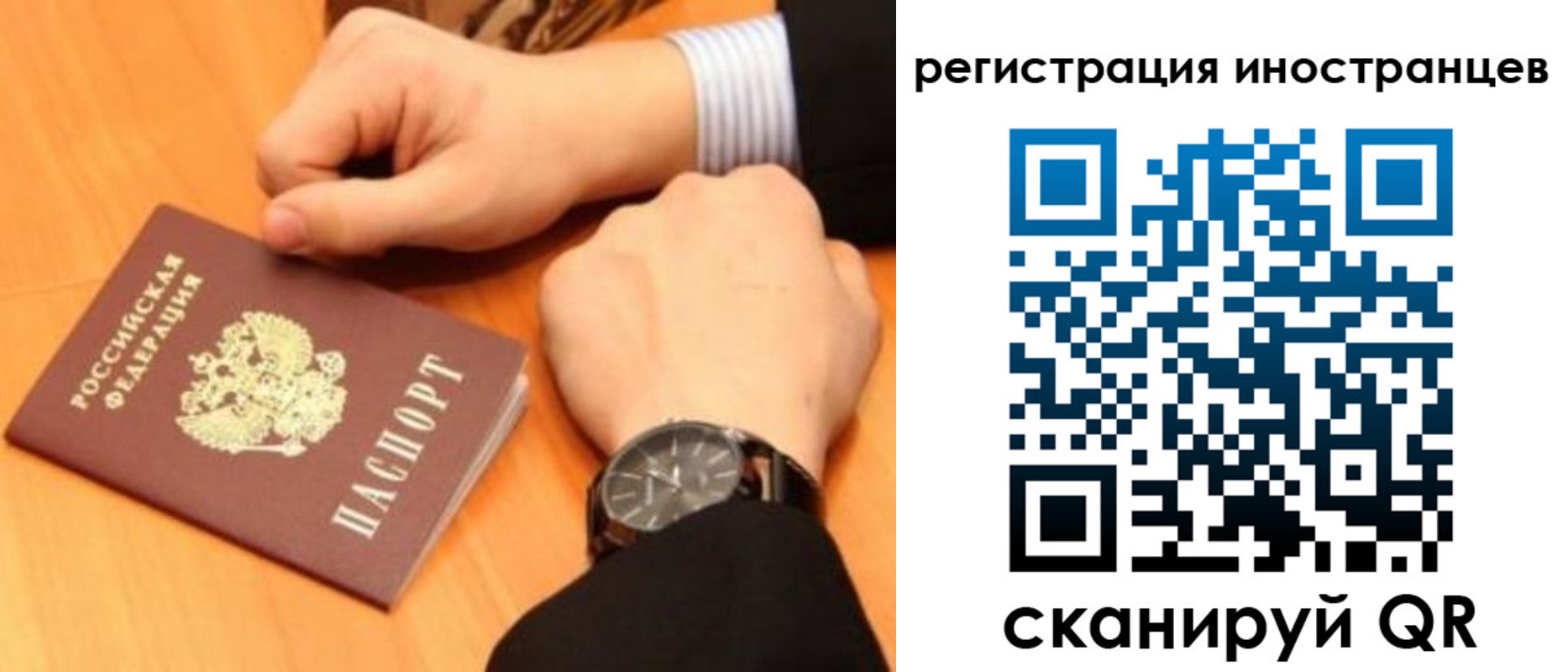 прописка гарантия в Порхове